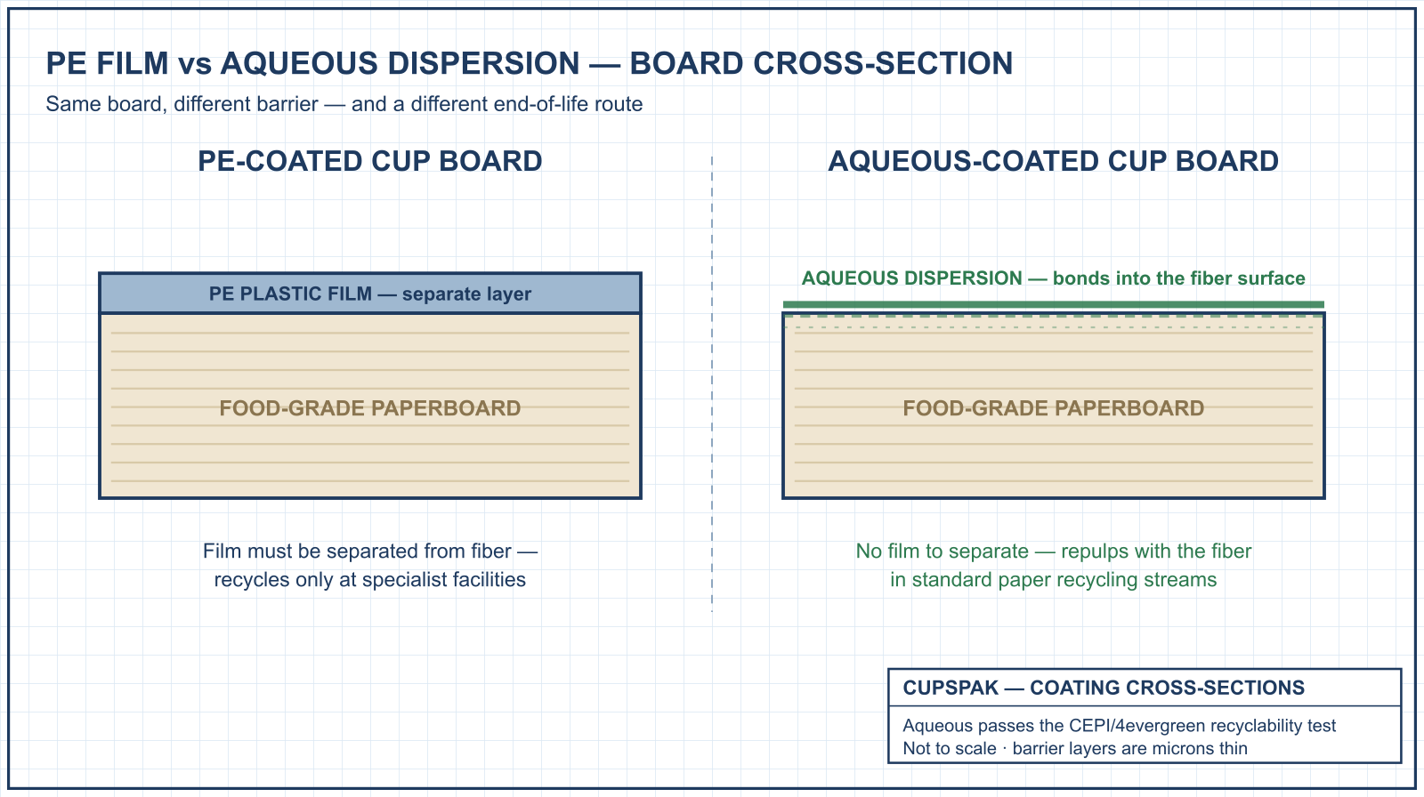 Board cross-section comparing PE plastic film with aqueous dispersion coating, recyclability difference explained, CupsPak