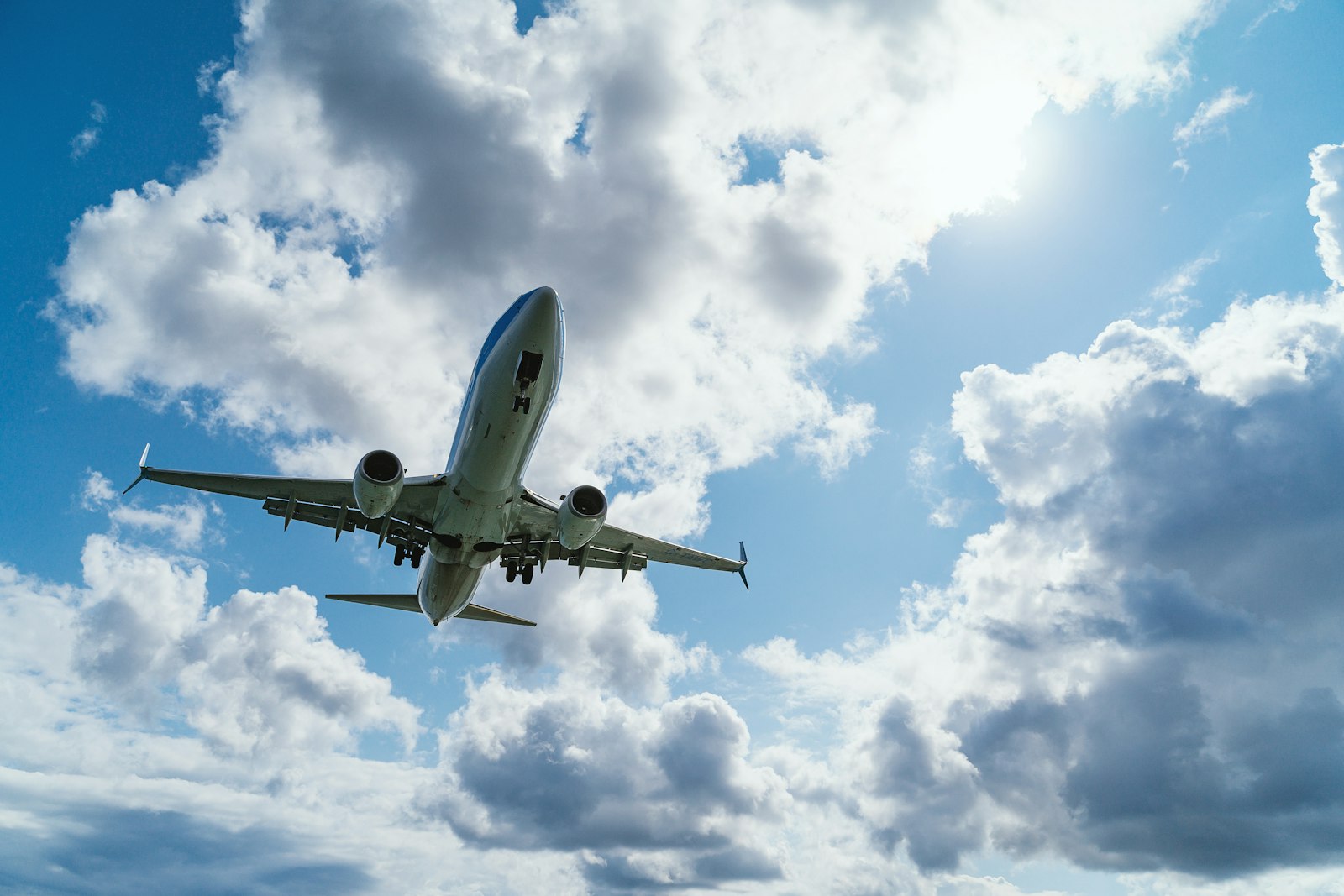 Airline inflight service with paper cups and catering packaging